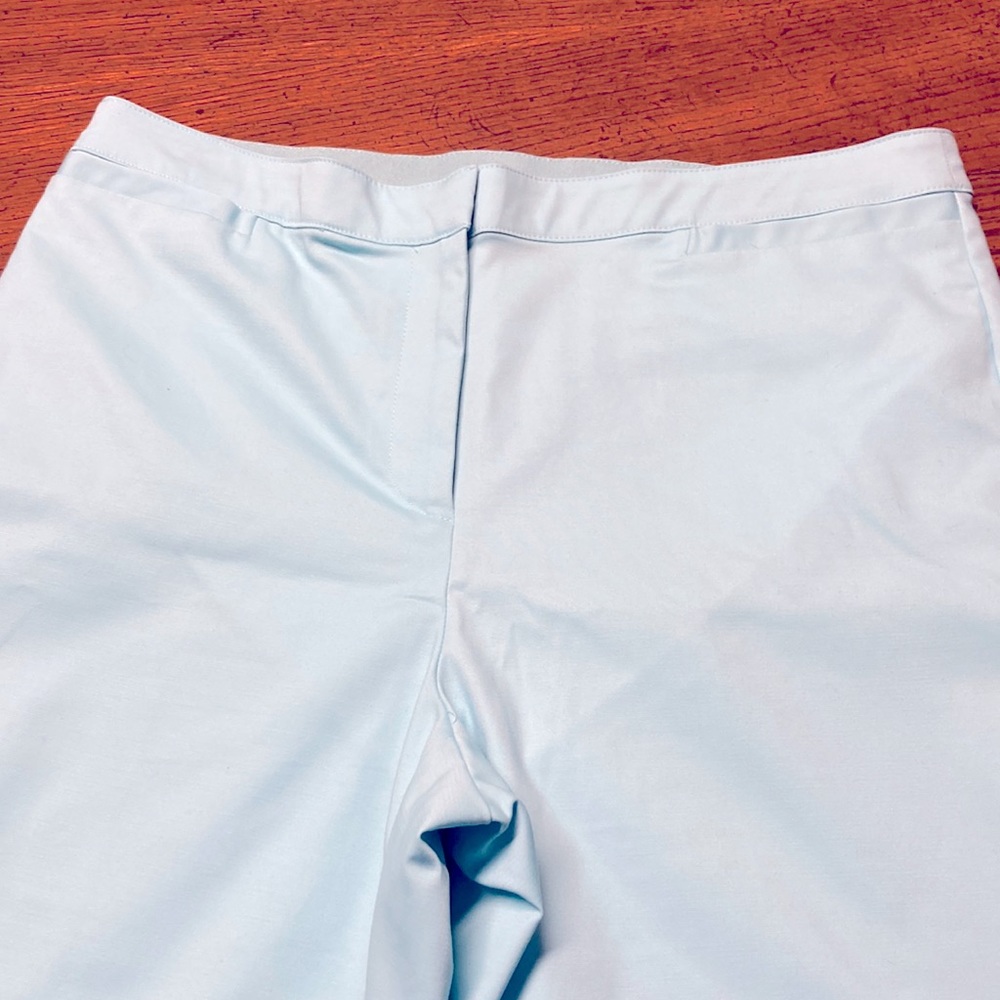 NWT Tiffany blue ankle pant